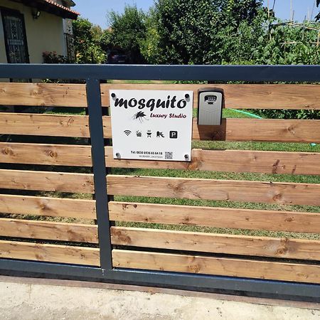 Mosquito Luxury Studio Keramotí Kültér fotó