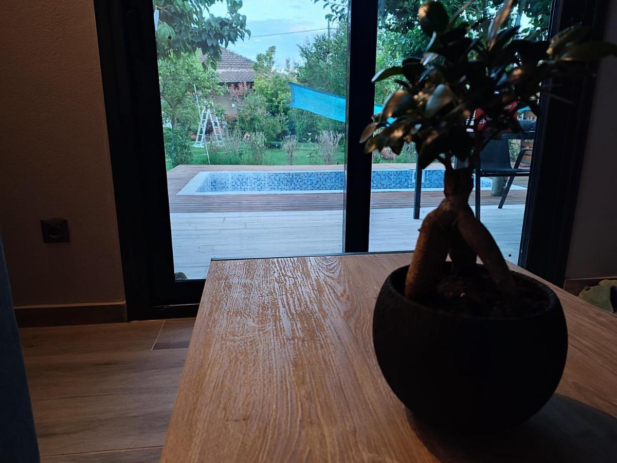 Mosquito Luxury Studio Keramotí Kültér fotó